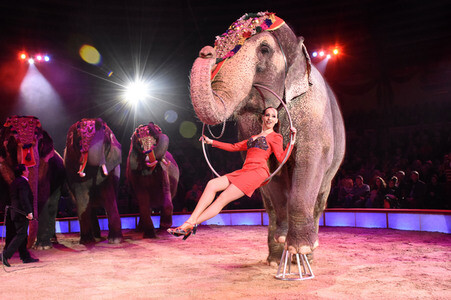 Premiere 3. Winterprogramm 2018 des Circus Krone in München