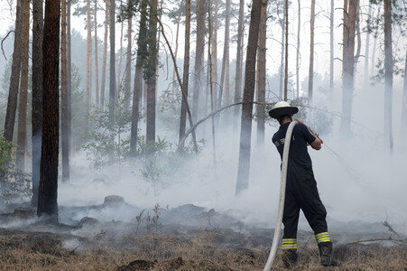 Waldbrandbekämpfung bei Treuenbrietzen