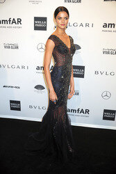 amfAR New York Gala 2014
