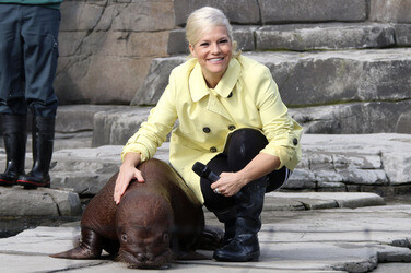Walross Taufe im Tierpark Hagenbeck, Hamburg