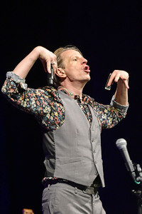 Konzert von Alexander Scheer, Andreas Dresen & Band in Görlitz