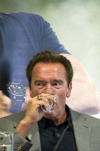 Arnold Schwarzenegger Pressekonferenz in Madrid