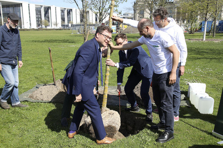 Baumpflanzaktion mit Carsten Schneider in Berlin
