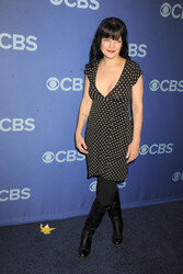 CBS Programm-Präsentation 2014, New York