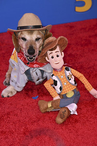 Filmpremiere 'Toy Story 5' in Los Angeles