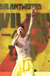 Hurricane Festival 2015 in Scheeßel