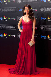 Opening Ceremony vom San Sebastian Film Festival 2014