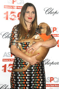 19. ASPCA Bergh Ball in New York