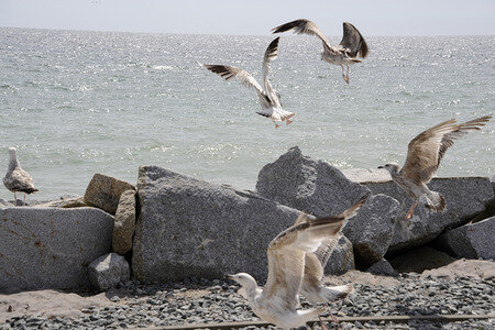 Impressionen von Sassnitz auf Rügen