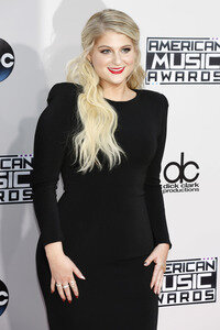 American Music Awards 2015