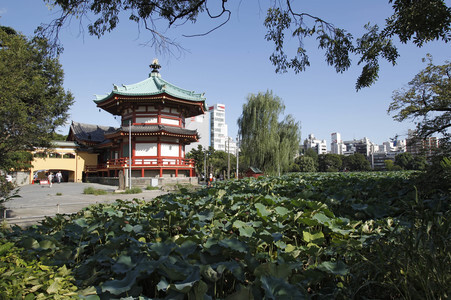 Sightseeing Tokio