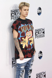 American Music Awards 2015