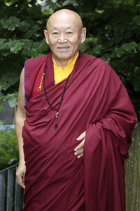 Drikung Kyabgön Chetsang in Hamburg
