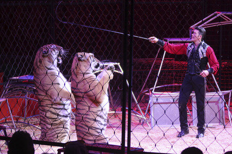Premiere vom Circus Charles Knie in Hamburg