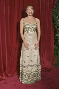 Filmpremiere 'Avatar: Fire and Ash' in Los Angeles