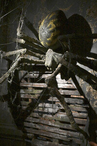 Knott's Scary Farm Opening Night in Buena Park