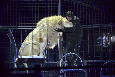 'Evolution' Weltpremiere im Circus Krone, München