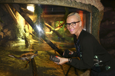 'Abenteuer Schildkröte' Opening im Sea Life, Berlin