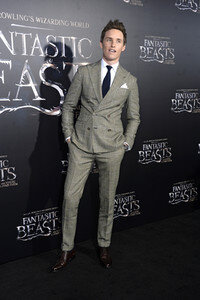 Filmpremiere 'Phantastische Tierwesen und wo sie zu finden sind' in New York