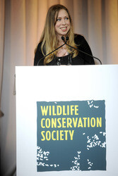 Wildlife Conservation Society Gala, New York