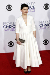 41. People's Choice Awards, Los Angeles