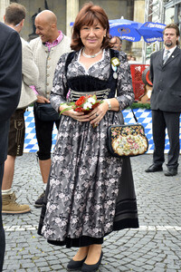 Trachten- und Schützenzug 2015 in München