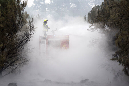 Waldbrandbekämpfung bei Treuenbrietzen