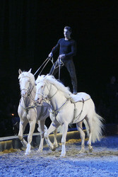 Apassionata Show 'Die goldene Spur', Dortmund