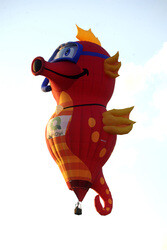 33. Quick Chek New Jersey Festival of Ballooning in Readington
