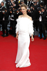 'Drachenzähmen leicht gemacht 2' Premiere, Cannes Film Festival 2014