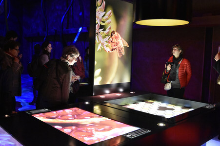 Expo Milano 2015