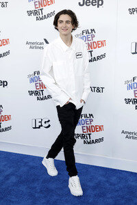 Film Independent Spirit Awards 2018 in Santa Monica