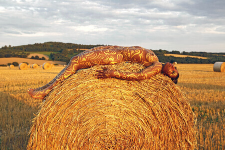NATURE ART: Auf einem Feld in der Abendsonne / On a Field in the Evening Sun Bodypainting
