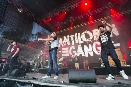 MS Dockville Festival 2015 in Hamburg