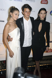 Global Lyme Alliance Gala 2015 in New York