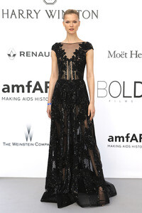 amfAR's Cinema Against Aids Gala, Cannes Film Festival 2016