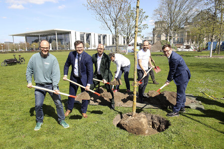 Baumpflanzaktion mit Carsten Schneider in Berlin