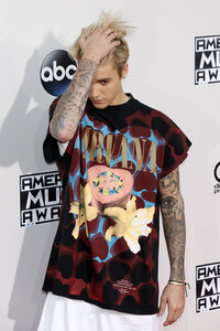 American Music Awards 2015