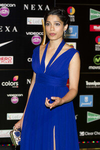 17. International Indian Film Academy Award in Madrid
