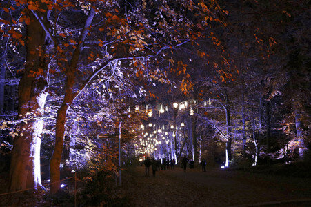 Eröffnung des Christmas Garden 2017 in Berlin