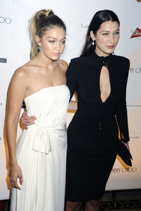 Global Lyme Alliance Gala 2015 in New York