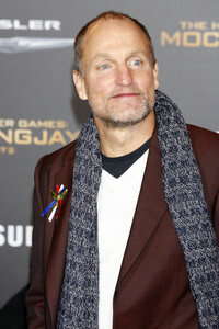 Filmpremiere 'Die Tribute von Panem - Mockingjay: Teil 2' in Los Angeles