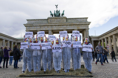 PETA Demonstration gegen Hühnerhaltung, Berlin