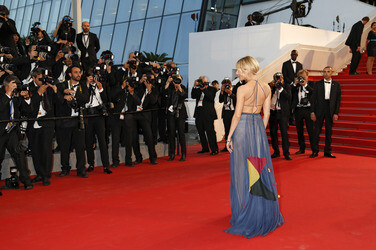 'The Sea of Trees' Premiere, Cannes Film Festival 2015