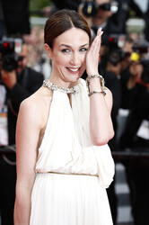 'The Search' Premiere, Cannes Film Festival 2014