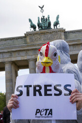 PETA Demonstration gegen Hühnerhaltung, Berlin