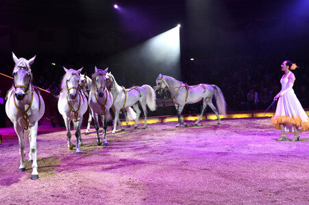 Circus Krone Premiere in München