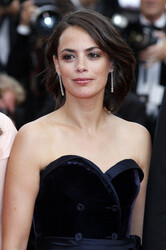 'The Search' Premiere, Cannes Film Festival 2014