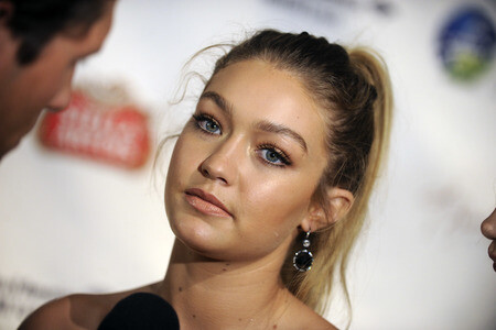 Global Lyme Alliance Gala 2015 in New York
