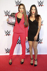 WWE Live Wrestling Event, Hamburg